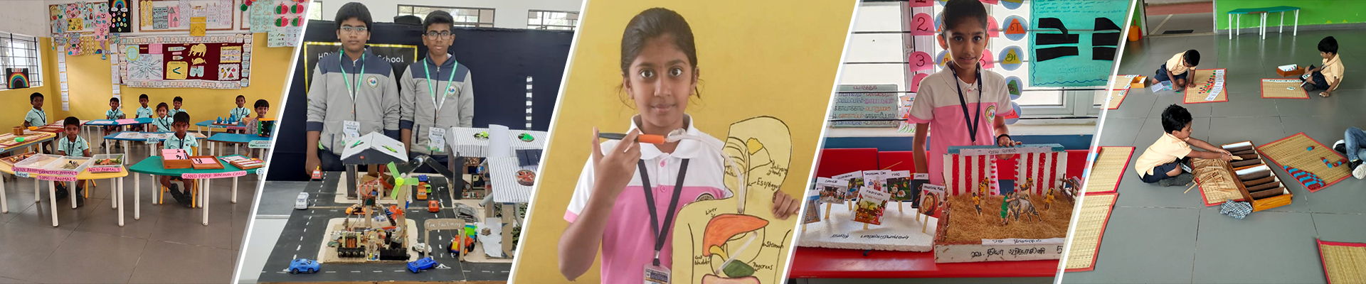 CBSE CURRICULUM