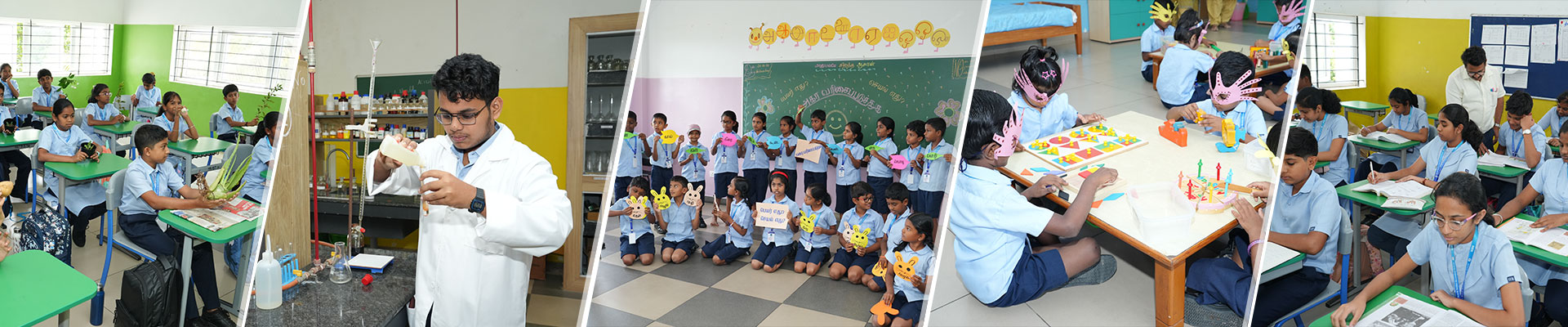 CBSE CURRICULUM